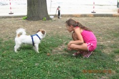Image00048