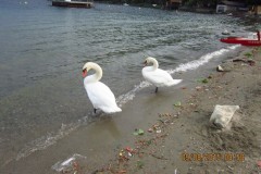Image00136