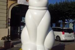 Image00170