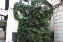 Image00281