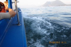 Image00318