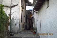 Image00370