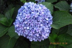 Image00372