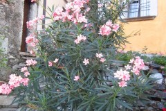 Image00374