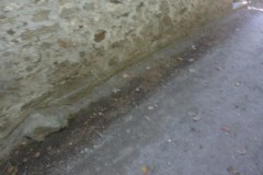 Image00198