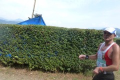 Image00444