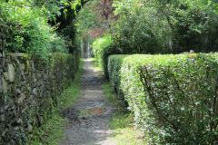 IMG_0363
