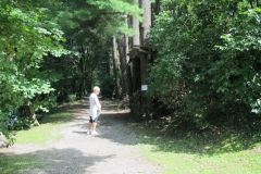 IMG_0367