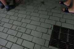 DSC07964