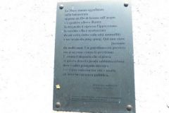 Image00024